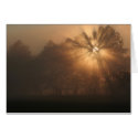 early morning rays cards by christopherewing early morning rays cards