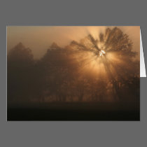 early morning rays cards