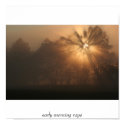 early morning rays posters