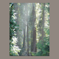 Early Morning Sun Rays #14 posters by dlmtleArt Early Morning Sun Rays #14 posters