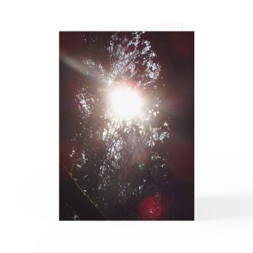 Early Morning Sun Rays #18 card