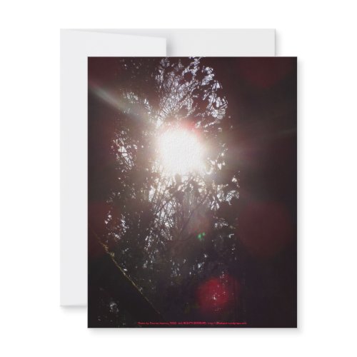 Early Morning Sun Rays #18 invitation