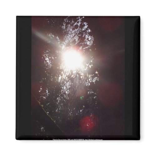 Early Morning Sun Rays #18 magnet