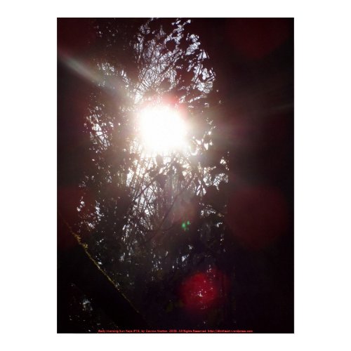 Early Morning Sun Rays #18 print