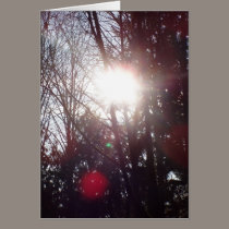 Early Morning Sun Rays #19 cards