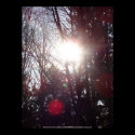 Early Morning Sun Rays #19 posters by dlmtleArt Early Morning Sun Rays #19 posters