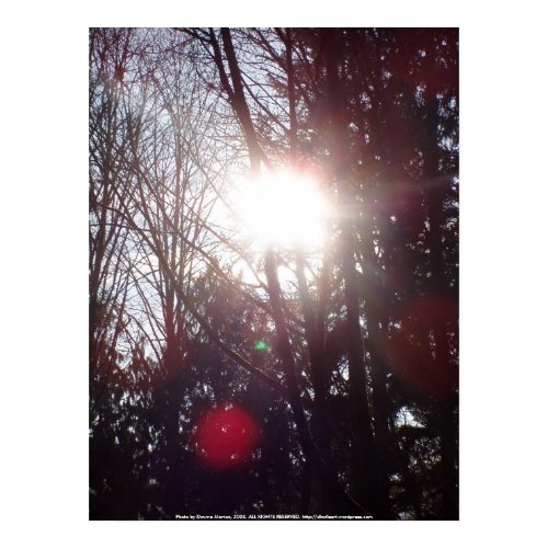 Early Morning Sun Rays #19 print