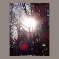 Early Morning Sun Rays #19 posters