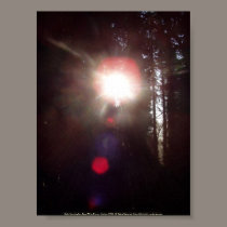 Early Morning Sun Rays #1 posters by dlmtleArt Early Morning Sun Rays #1 posters