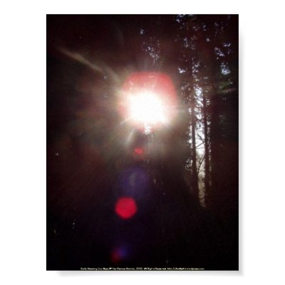 Early Morning Sun Rays #1 Posters by dlmtleArt