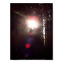 Early Morning Sun Rays #1 posters
