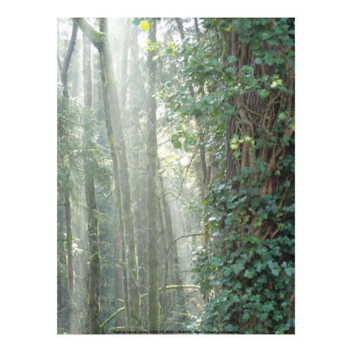 early morning sun rays #20 print