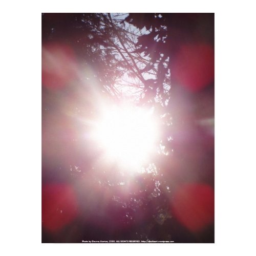 Early Morning Sun Rays #25 print