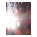 Early Morning Sun Rays #28 posters