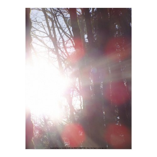 Early Morning Sun Rays #28 print
