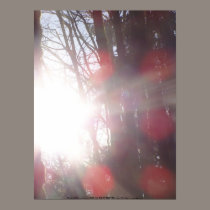 Early Morning Sun Rays #28 posters by dlmtleArt Early Morning Sun Rays #28 posters