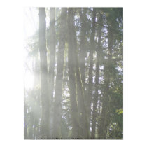Early Morning Sun Rays #29 posters by dlmtleArt Early Morning Sun Rays #29 posters