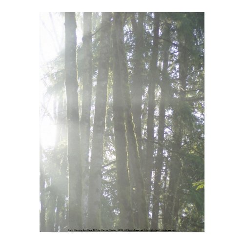 Early Morning Sun Rays #29 print
