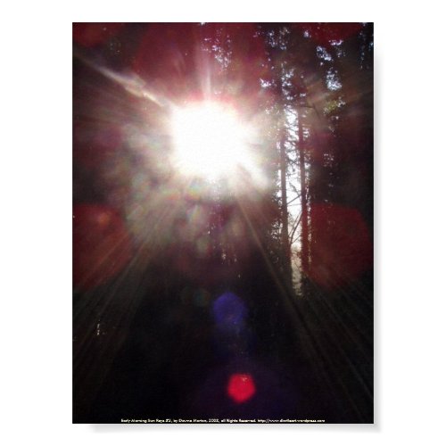 Early Morning Sun Rays #2 print