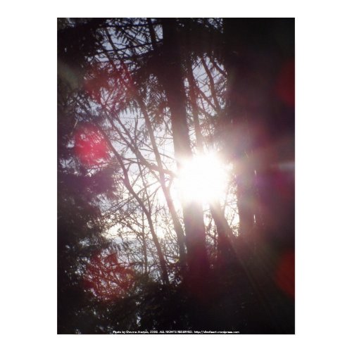Early Morning Sun Rays #31 print