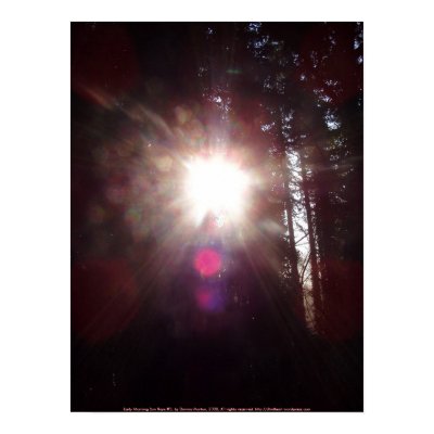 Early Morning Sun Rays #3 Posters by dlmtleArt