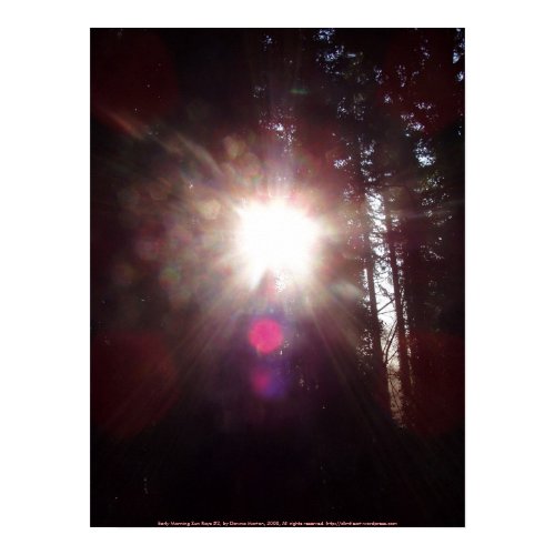 Early Morning Sun Rays #3 print
