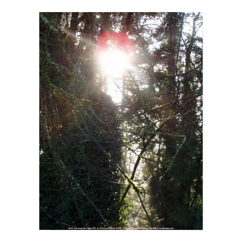 Early Morning Sun Rays #5 print