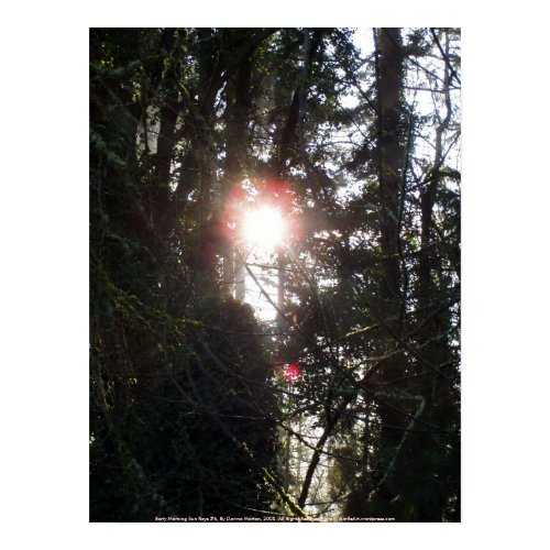 Early Morning Sun Rays #6 print
