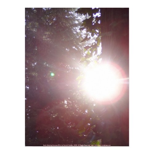 Early Morning Sunrays #26 print