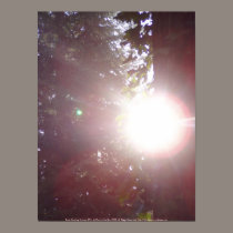Early Morning Sunrays #26 posters by dlmtleArt Early Morning Sunrays #26 posters