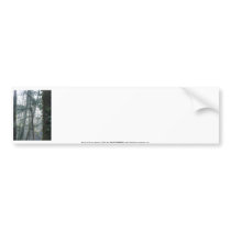 Early Morning Sunrays #27 bumper stickers by dlmtleArt Early Morning Sunrays #27 bumper stickers