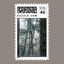 Early Morning Sunrays #27 stamps