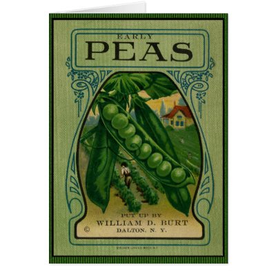 Seed Packets Vintage