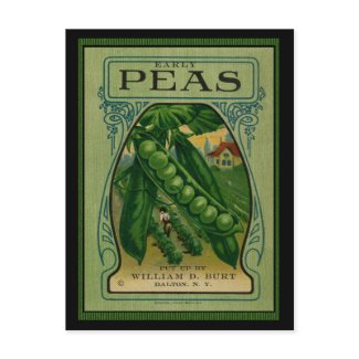 Early Peas Vintage Seed Packet postcard