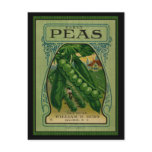 Early Peas Vintage Seed Packet Postcards