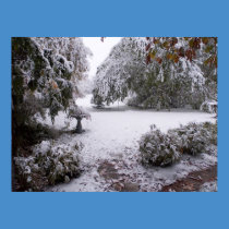 Early Snow posters