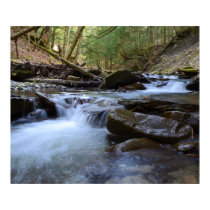 Early Spring At The Stream. Poster