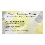Early Spring Daffodil Business Card Templates