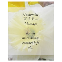 Early Spring Daffodil Flyer