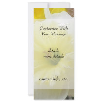 Early Spring Daffodil Rack Card Design