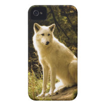 Early Spring iPhone 4 Case casemate cases