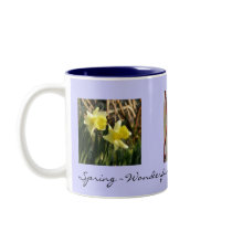 Early Spring Mug