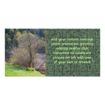 Early Spring Picture Card