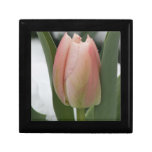 Early Spring Pink Tulip in Snow Jewelry Box