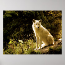Early Spring posters