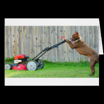 Earning his keep cards