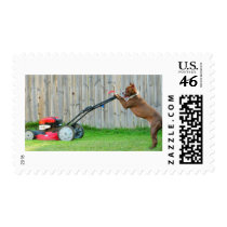 Earning his keep postage by lover196969 Earning his keep postage