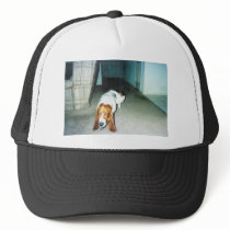 Ears_Hang_Low Mesh Hats