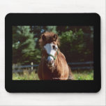 Ears mousepads