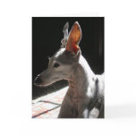 Ears Up!, photo Cards